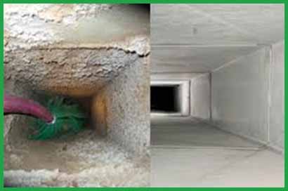 about-greenforet-img