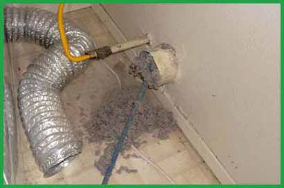 about-greenforet-img